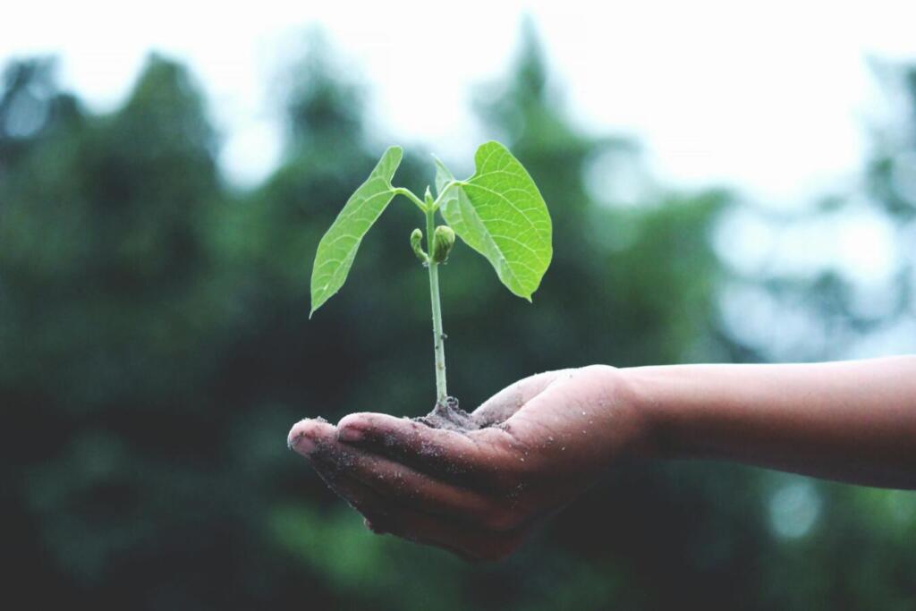 A impermeabilização no caminho da sustentabilidade